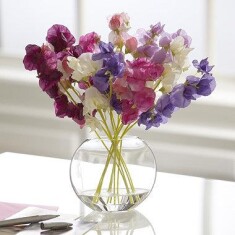 Bodycology Sweet Petals Kadın Vücut Spreyi – Tatlı Çiçeksi Koku, 237 mL - 2