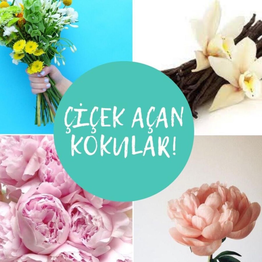 Bodycology Sweet Seduction Kadın Vücut Spreyi – Vanilya ve Kırmızı Meyve Aromalı, 237 mL - 2